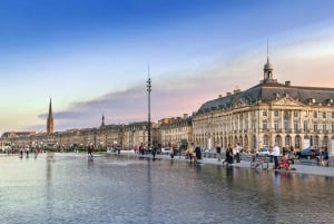 Bordeaux : Dinner Food Tour