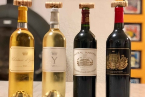 Bordeaux: Oppdag Bordeaux-viner