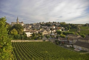 Tour de vinos de Burdeos en día completo - 3 bodegas y comida campestre