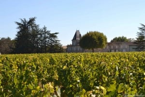 Bordeaux Essentials Full Day Small Group Wine Tour