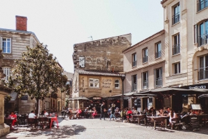 Bordeaux: ekskluzywna prywatna wycieczka z przewodnikiem