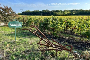 Bordeaux: Tutustu luonnonmukaiseen perheen viinitilaan maistelun kera