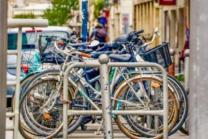 Burdeos: Paseo exprés con un lugareño en 60 minutos