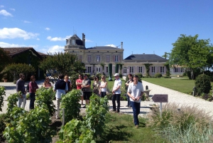Bordeaux: Full-Day Arcachon Bay & Medoc vineyards