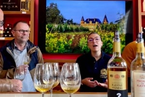 Bordéus: Vinhas de Graves, Pessac-Léognan e Sauternes