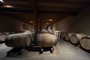 Bordéus: Vinhas de Graves, Pessac-Léognan e Sauternes