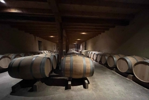 Bordeaux: Graves, Pessac-Léognan, and Sauternes Vineyards