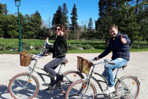 Bordeaux: Guided Bike Tour