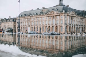 Bordeaux: Private Guided Walking Tour of the City Must-Sees