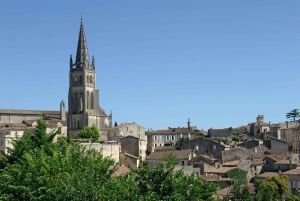 Bordeaux: Half-Day Morning Small Group Wine Tour