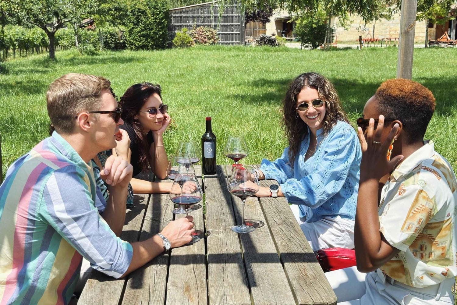 Bordeaux: excursão particular de meio dia com degustação de vinhos naturais