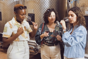 Bordeaux: excursão particular de meio dia com degustação de vinhos naturais