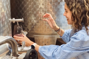 Bordeaux: excursão particular de meio dia com degustação de vinhos naturais