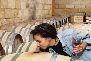 Bordeaux: excursão particular de meio dia com degustação de vinhos naturais