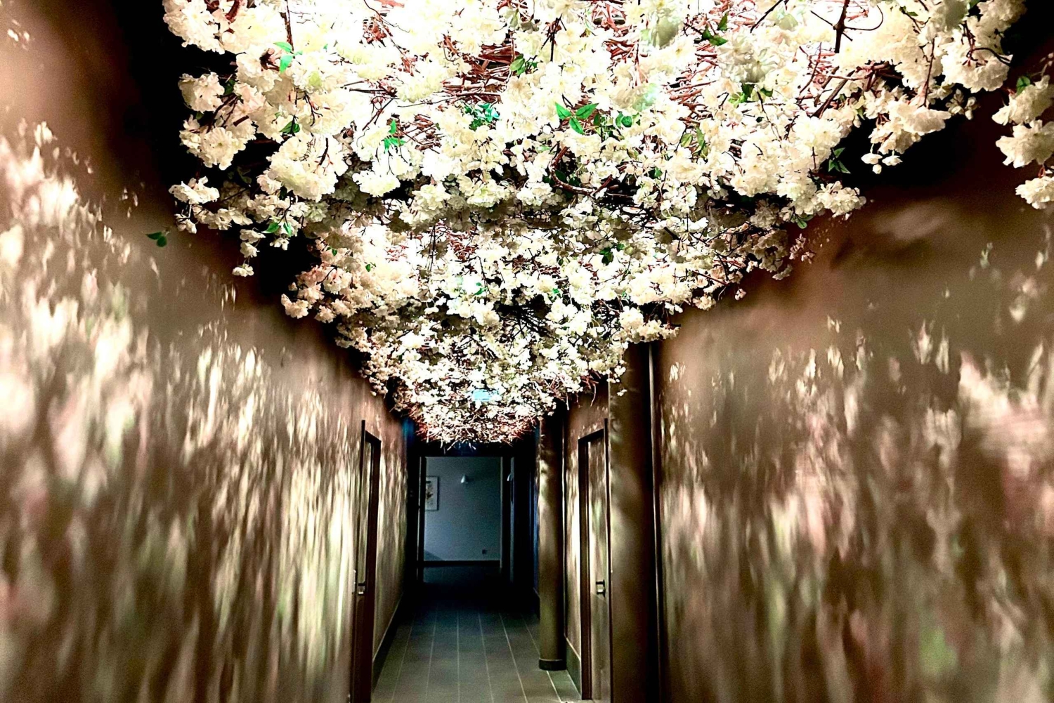 ボルドー：ハイテクワインツーリズム、イノベーション、そしてテイスティングをお楽しみください