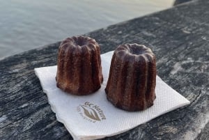 ボルドー：3つの橋の歴史を巡る自転車ツアー