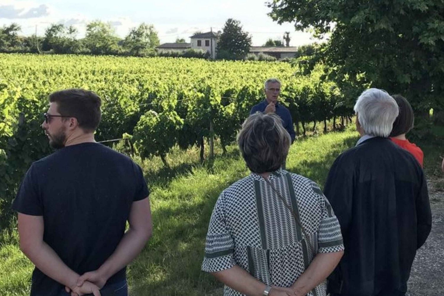 Bordeaux : Orgaanisen perheen viinitarhan sydämessä