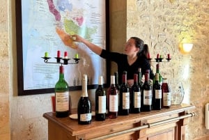 Bordeaux: Explore an Organic Family Vineyard with Tasting