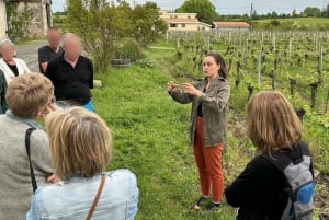 Bordeaux: Explore an Organic Family Vineyard with Tasting