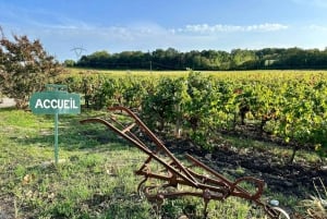 Bordeaux: Explore an Organic Family Vineyard with Tasting