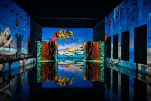 Bordeaux: Les Bassins des Lumières Immersive Exhibition