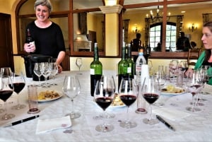 Bordeaux: Medoc Small Group Afternoon Wine Tour