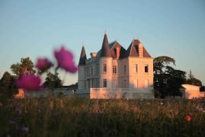 Bordeaux: Medoc Small Group Afternoon Wine Tour