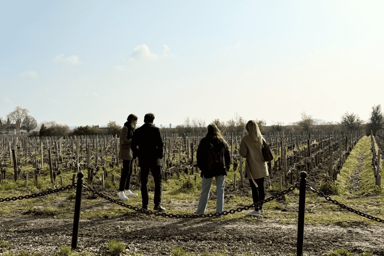 Bordeaux: Médoc Wine Region Full-Day Tour