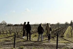 Bordeaux: Heldagstur til Médoc-vinregionen