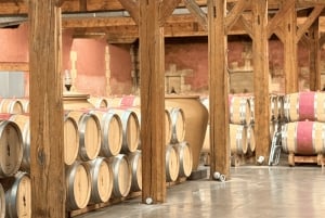 Bordeaux: Heldagstur til Médoc-vinregionen