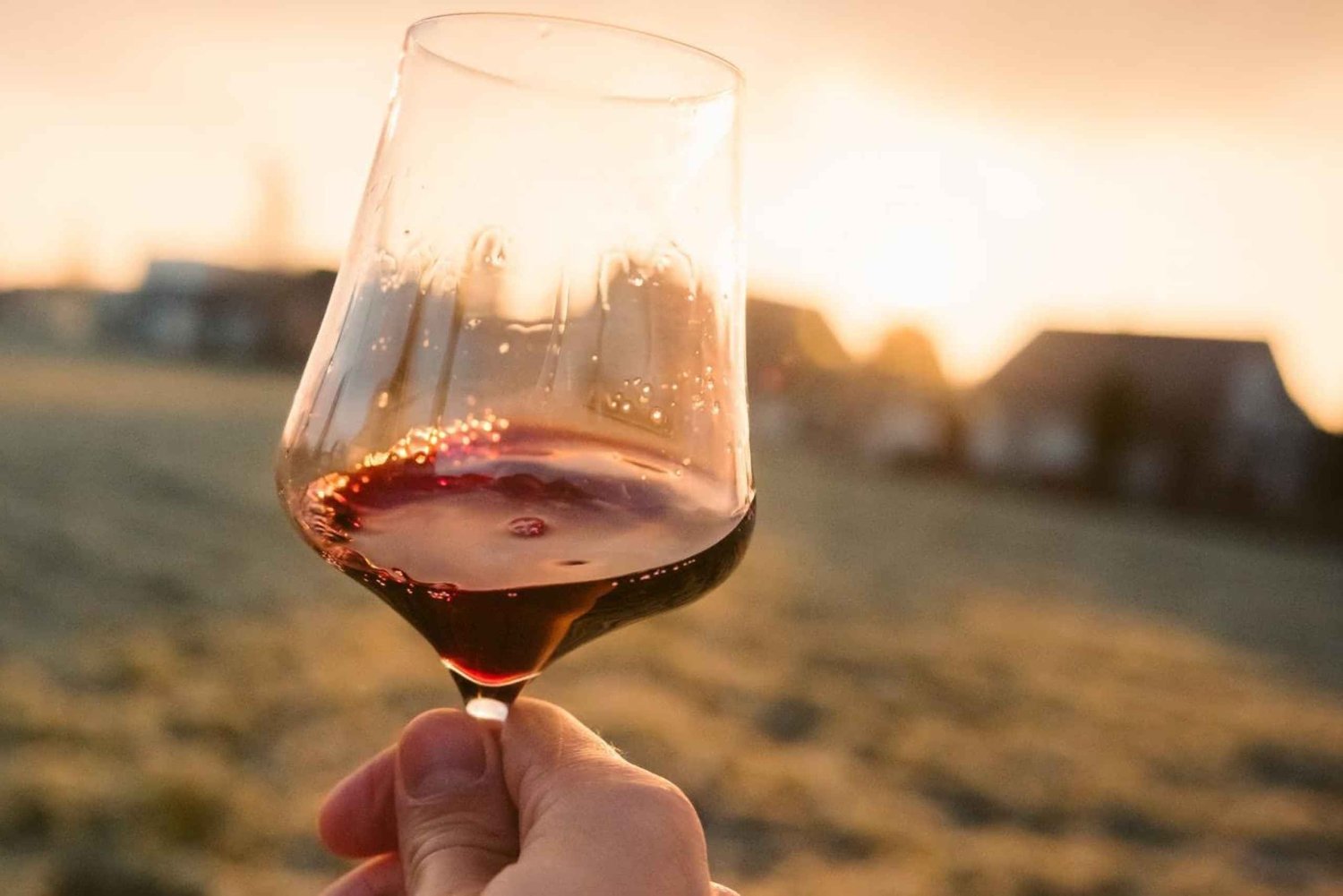 Bordeaux: Médoc-vinruten - privat dagstur og pikniklunsj