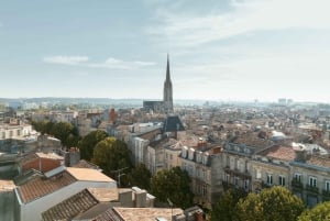 Bordeaux : Must-sees's Private Guided Walking Tour