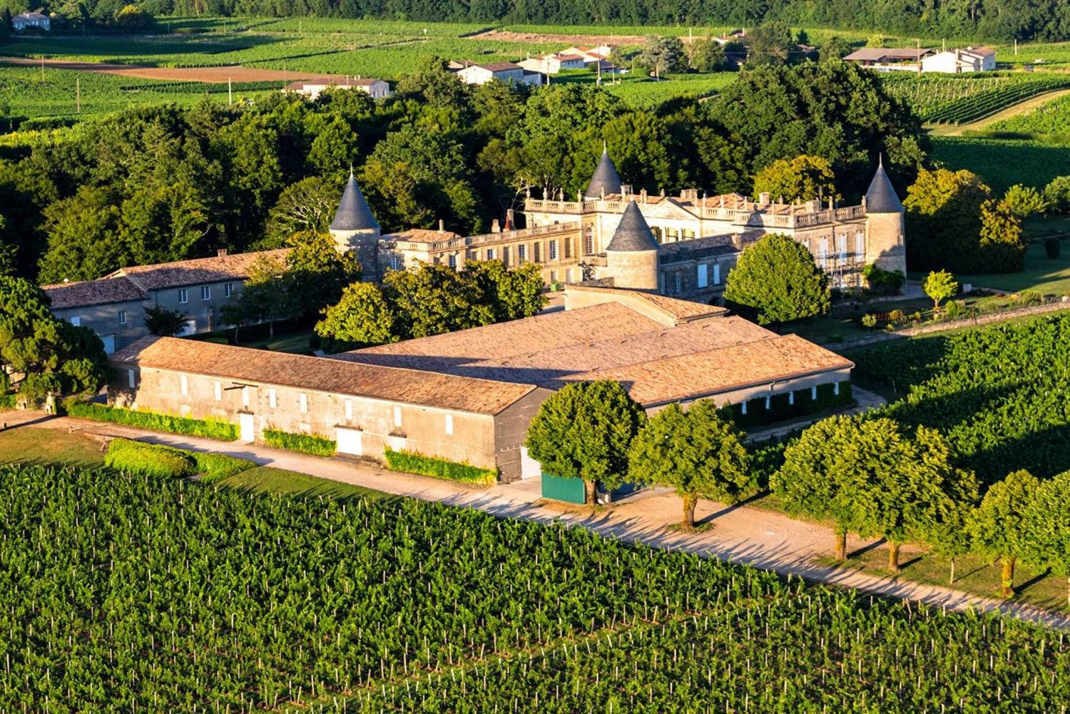 Bordeaux: Panoramic flight over vineyards and châteaux