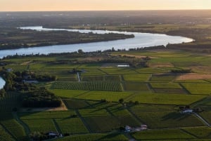 Bordeaux: Panoramic flight over vineyards and châteaux