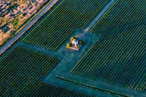 Bordeaux: Panoramic flight over vineyards and châteaux