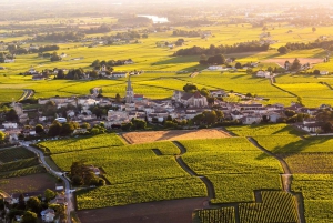 Bordeaux: Panoramic flight over vineyards and châteaux