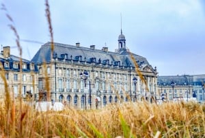 Bordeaux: Private Architecture Tour with a Local Expert