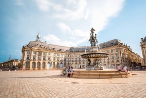 Bordeaux: Privat skræddersyet tur med en lokal guide