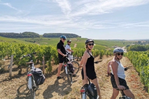 Bordeaux: Tour guiado particular de bicicleta