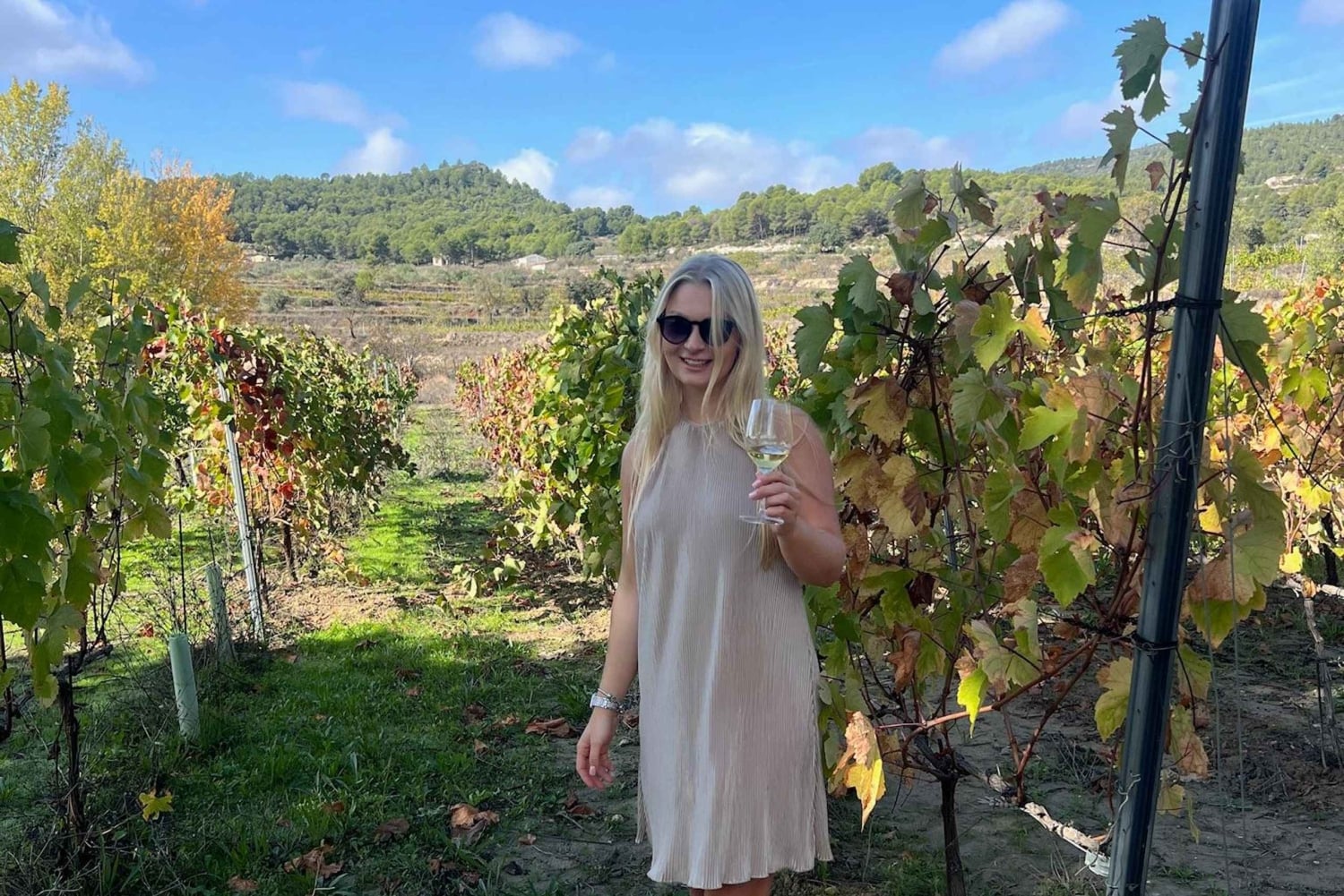 Бордо: частная прогулка на лошадях + дегустация вин + пикник