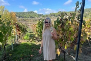 Bordeaux: prywatna przejażdżka konna + degustacja win + piknik