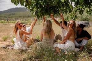 Bordeaux: Privat ridning og vinprøvesmagning & picnic