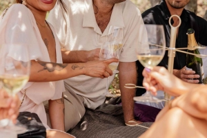 Bordeaux: Privat ridning og vinprøvesmagning & picnic