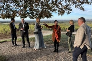 From Bordeaux: Private Tour in the Chateaux of Saint-Émilion
