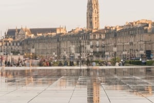 Bordeaux: Private Transfer Service