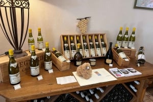 Bordeaux Private Walking & Tasting Tour