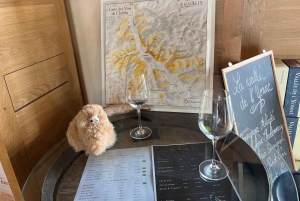 Bordeaux Private Tour zu Fuß und mit Verkostung