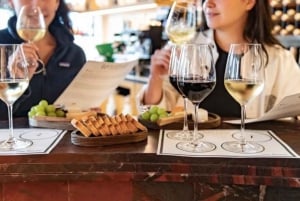 Burdeos: Clase privada de cata de vinos con un sumiller local