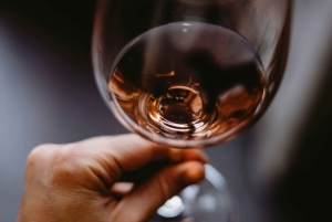 Bordeaux: Yksityinen viininmaistelu elegantissa kodissa