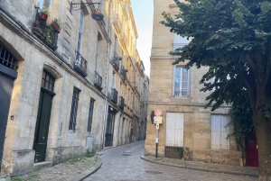 Bordeaux: Yksityinen viininmaistelu elegantissa kodissa